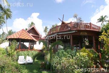 Coconut River 13